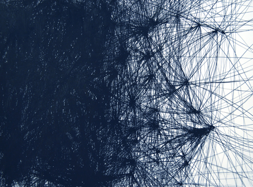 Gone Viral No. 2 Andrea Soler